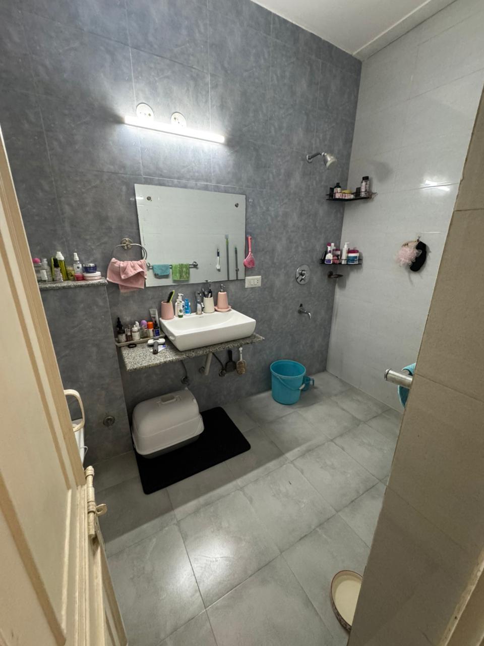 3BHK · Furnished · Apartment