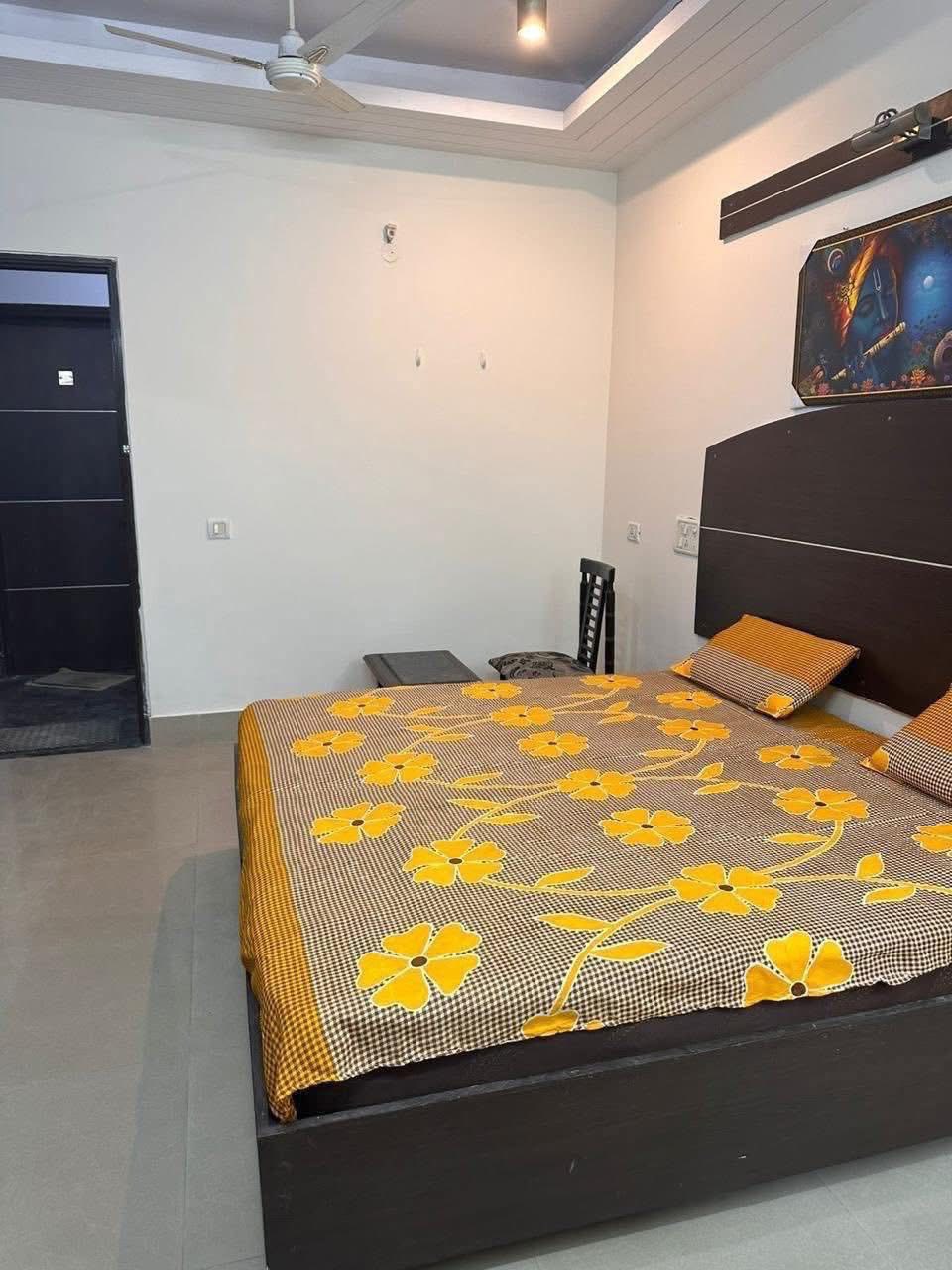 1RK · Furnished · Apartment