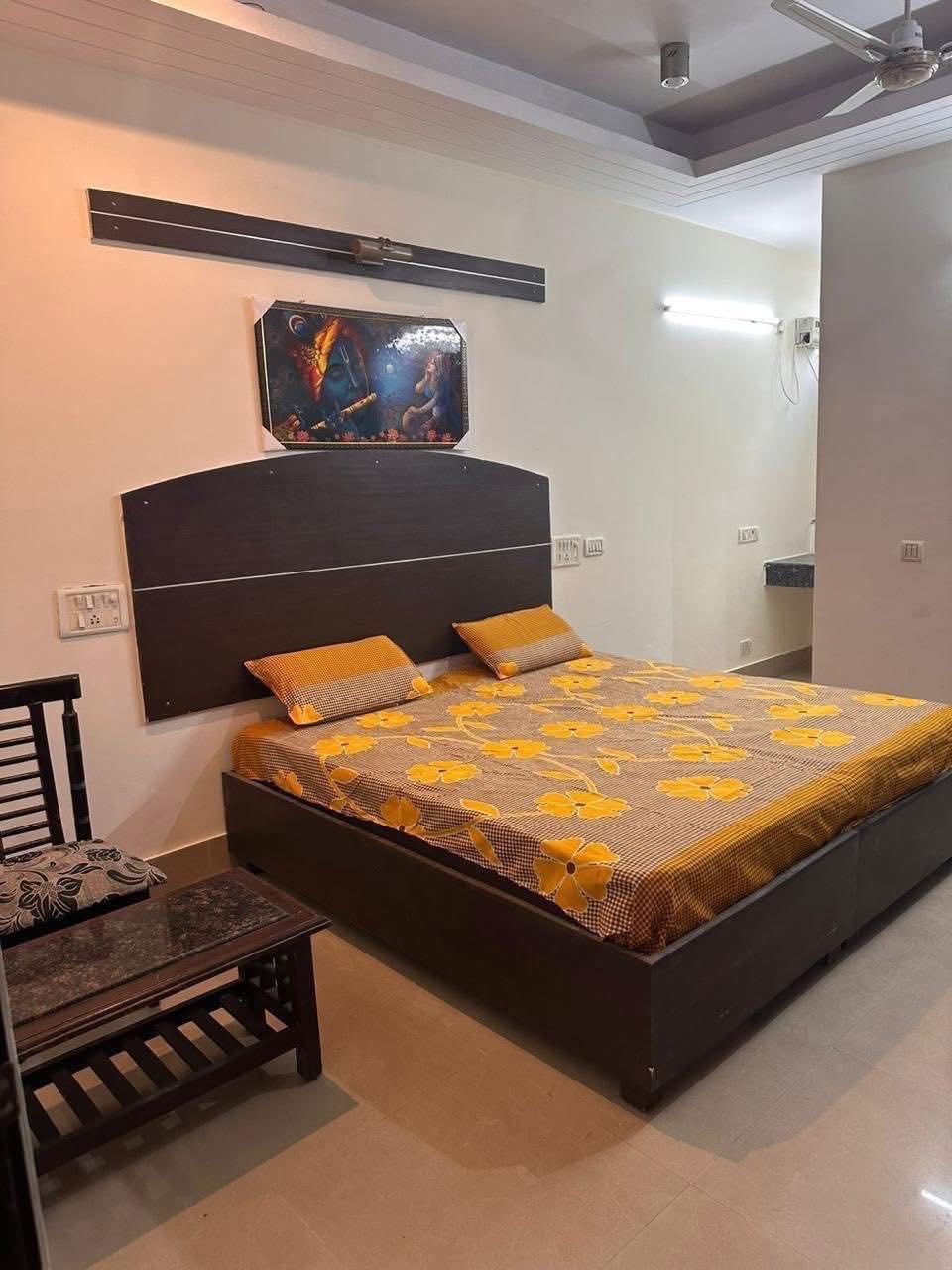 1RK · Furnished · Apartment