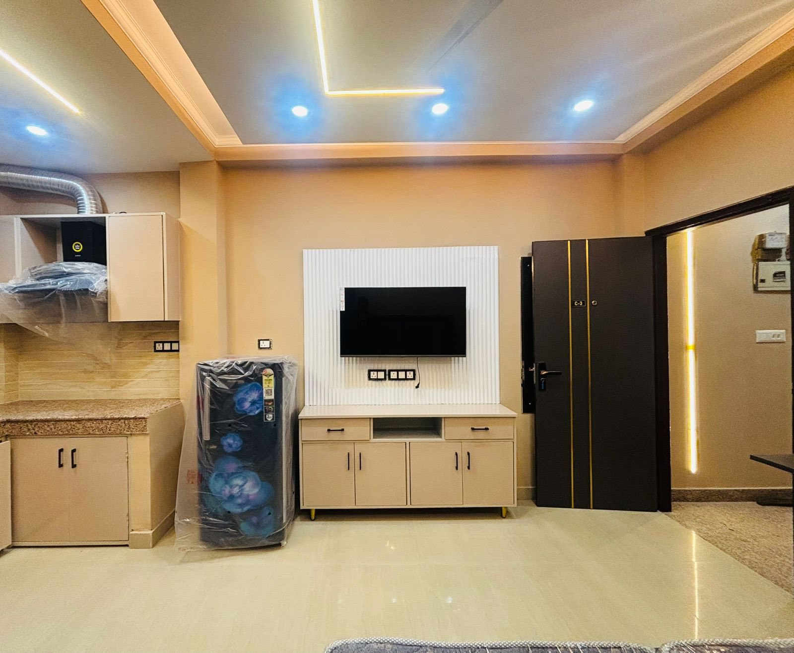 1RK · Furnished · Apartment