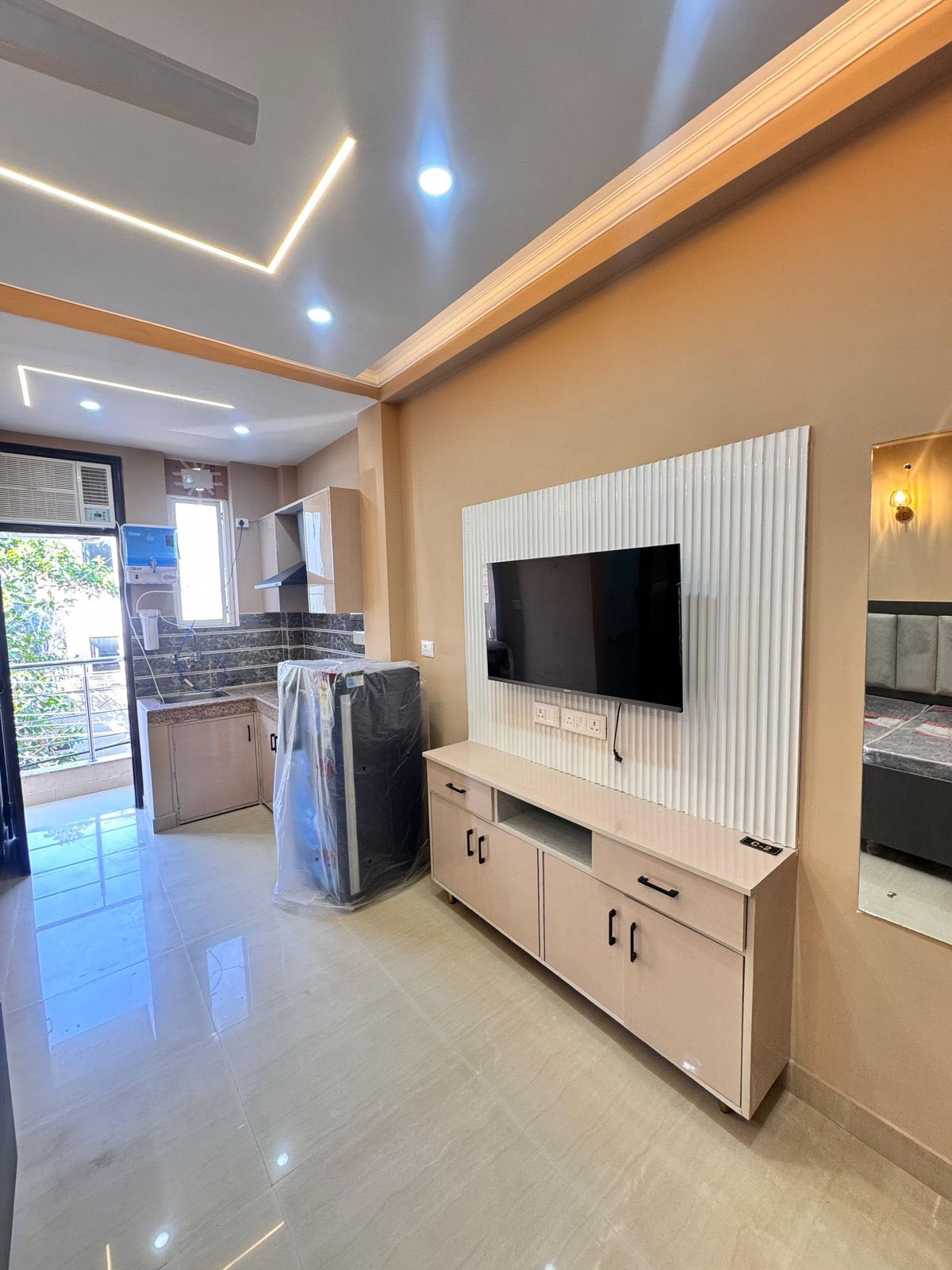 1RK · Furnished · Apartment
