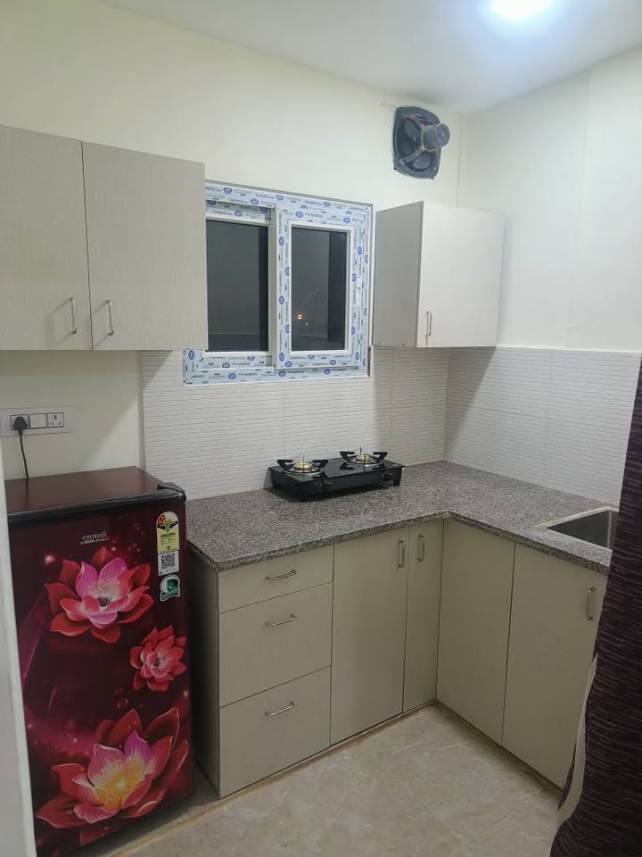 1RK · Furnished · Apartment