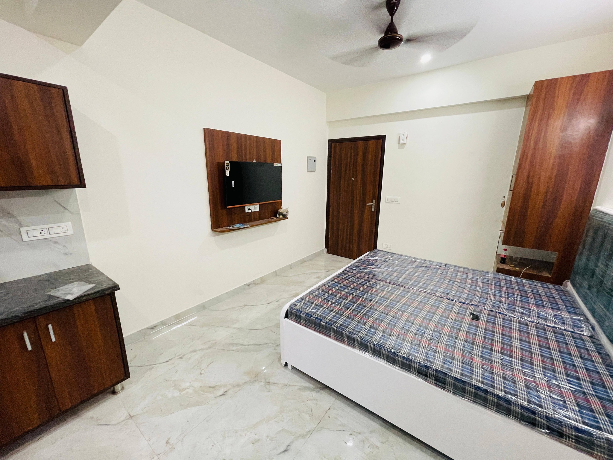 1RK · Furnished · Apartment