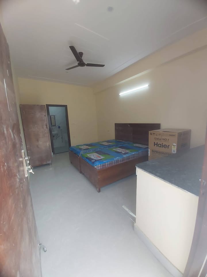 1RK · Furnished · Apartment