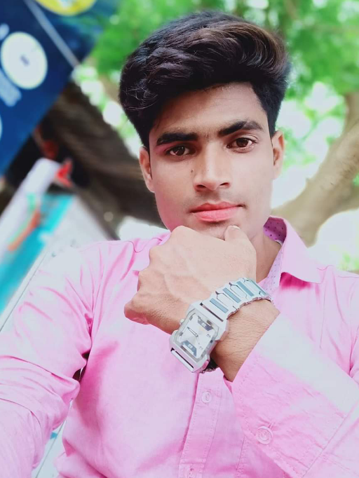 Niraj Ray