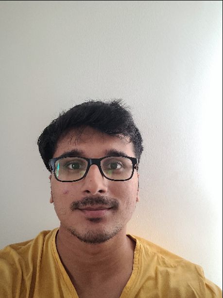 Ranajoy Roy