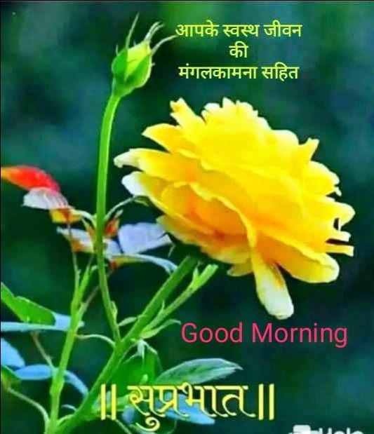 Poonam
