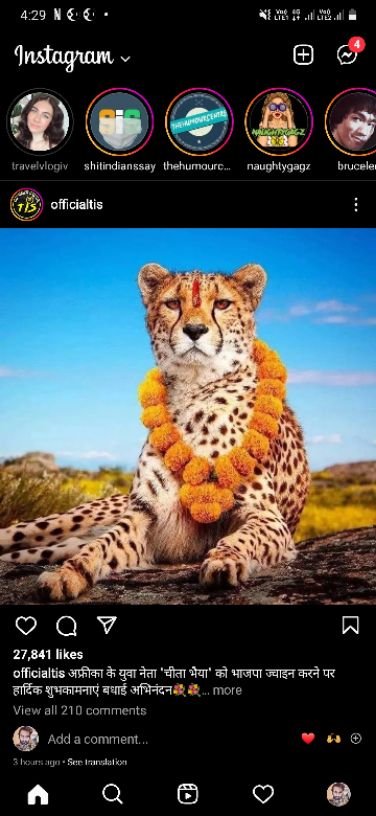 Singh