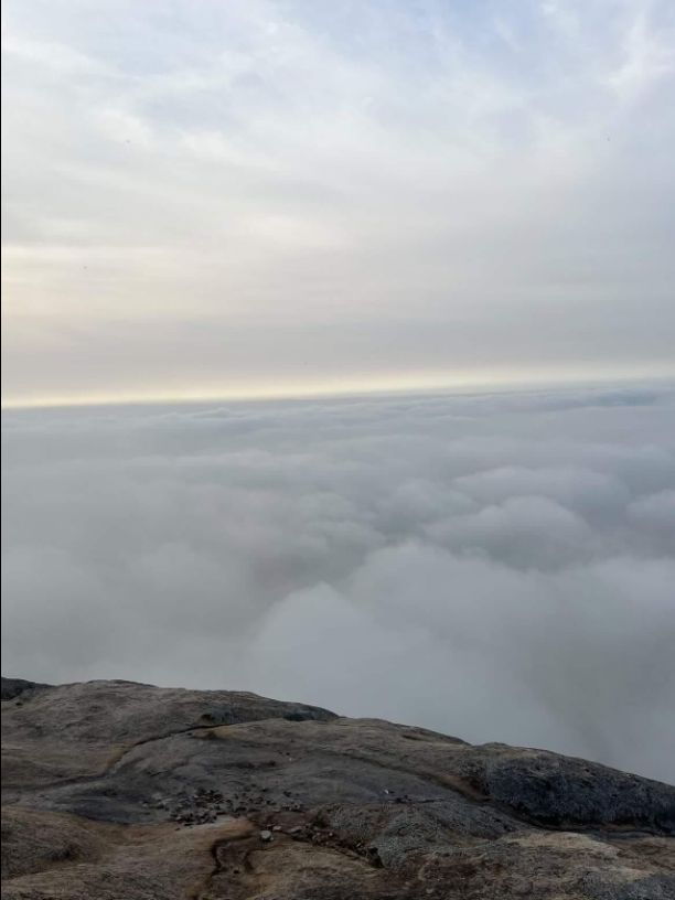 Apoorva Miahra