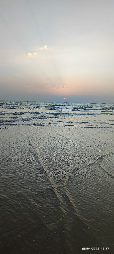 Salonee Ogale