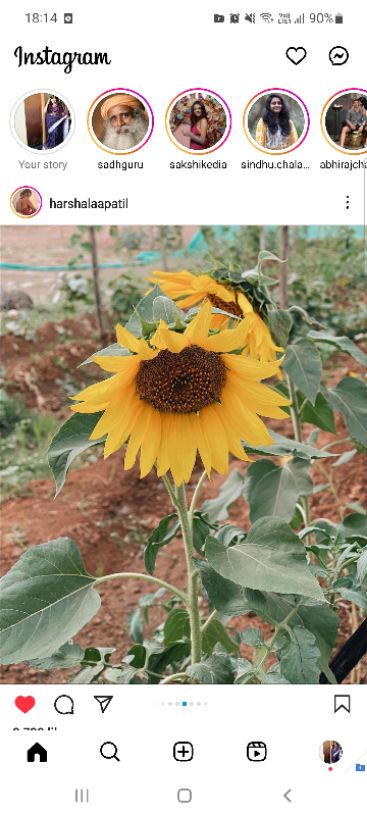 Gayathri