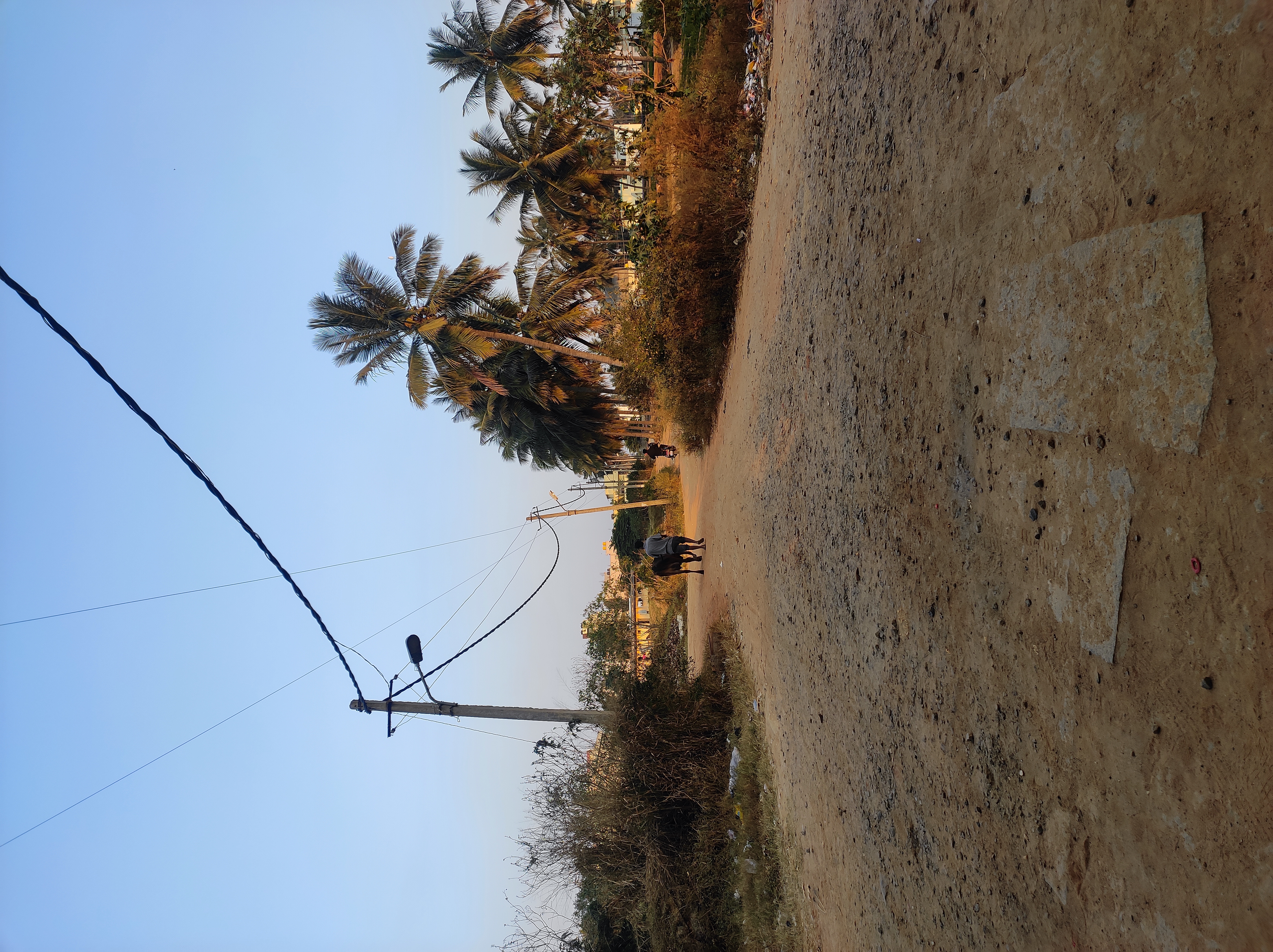 Avneesh